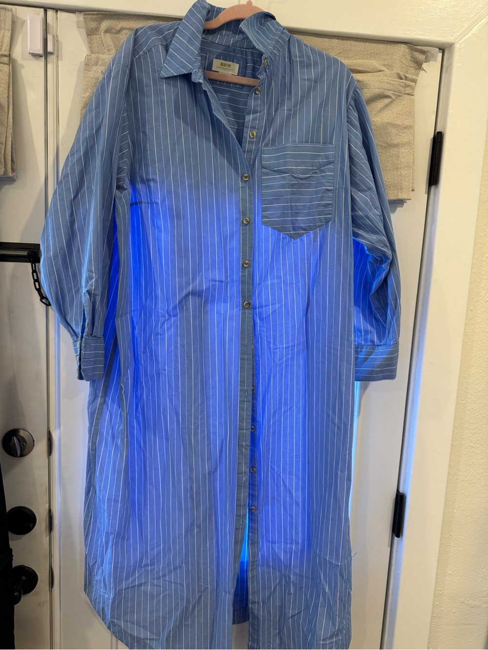Anthropologie Blue Pinstripe Men's Long Button-Down Shirt
